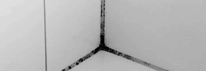 Schwarzer Schimmel an den Fliesenfugen einer Duschkabine